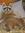 Tibby B...