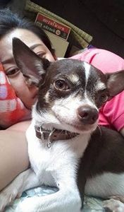 Pratchayanee Chueamsanit