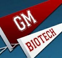 GM Biotech