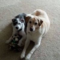 Bernadette M. Tuscano