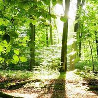 Michael joseph kring