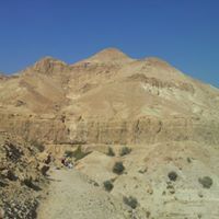 אביב דהן