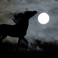 سمير الجحدلي