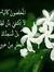 Ramzi A...