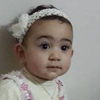 Mostafa Elshamy