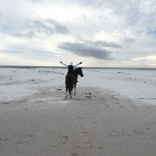 ظاهرة الجهني