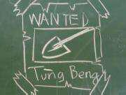 Tùng Bèng