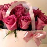 إيمان أبو العز