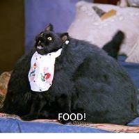 Никола Славчев