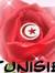 Bassem Meg