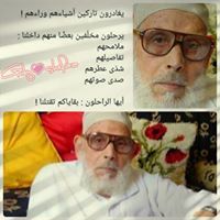 Shefaa Sultan