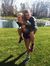 Sofie S...