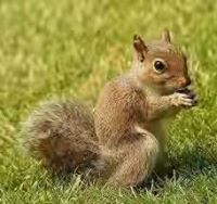 Shakuntala Chowdhury