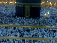 احمد الزغبى