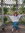 Gosia
