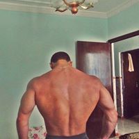 アルファシマウマ ベータ