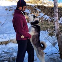 عقيل البريكي