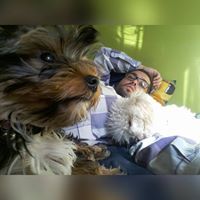 Felipe Olguín Özil