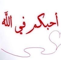 Yasser Elsehely