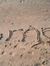 Asmaa K...