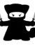 supersecretninja