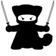 supersecretninja