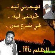 Ali Hamad