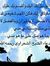 Mohsen ...