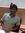 Ram Ramesh