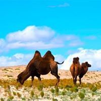 Болор- Эрдэнэ