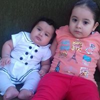 محمد الدمشاوي