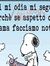 Fulvio ...