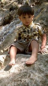 المهندس الشوكه