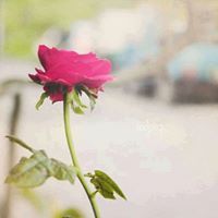 عائشة أندلسي