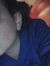 Kayse