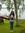 Anusha