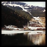 محمد الحماد