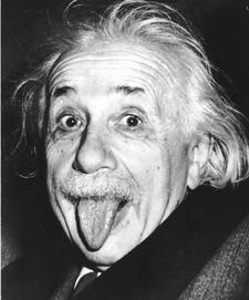 Bertie Einstein