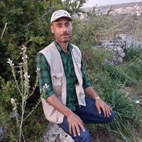 محمود فحام