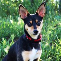 Нана Мурадашвили