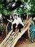 Shravan...