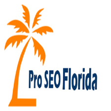Pro seo florida