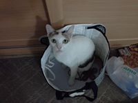 เจง จ้าาาา