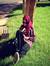 Alaa Zayed