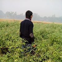 কৃষি সম্বন্ধে