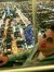 Ahmed E...