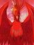 Phoenix...