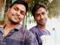 Royal Venky