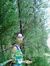 Dhanash...