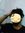 Khul Faiz